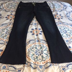 Democracy Rebel Barely Boot Jeans